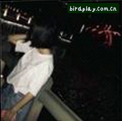 刘洋
