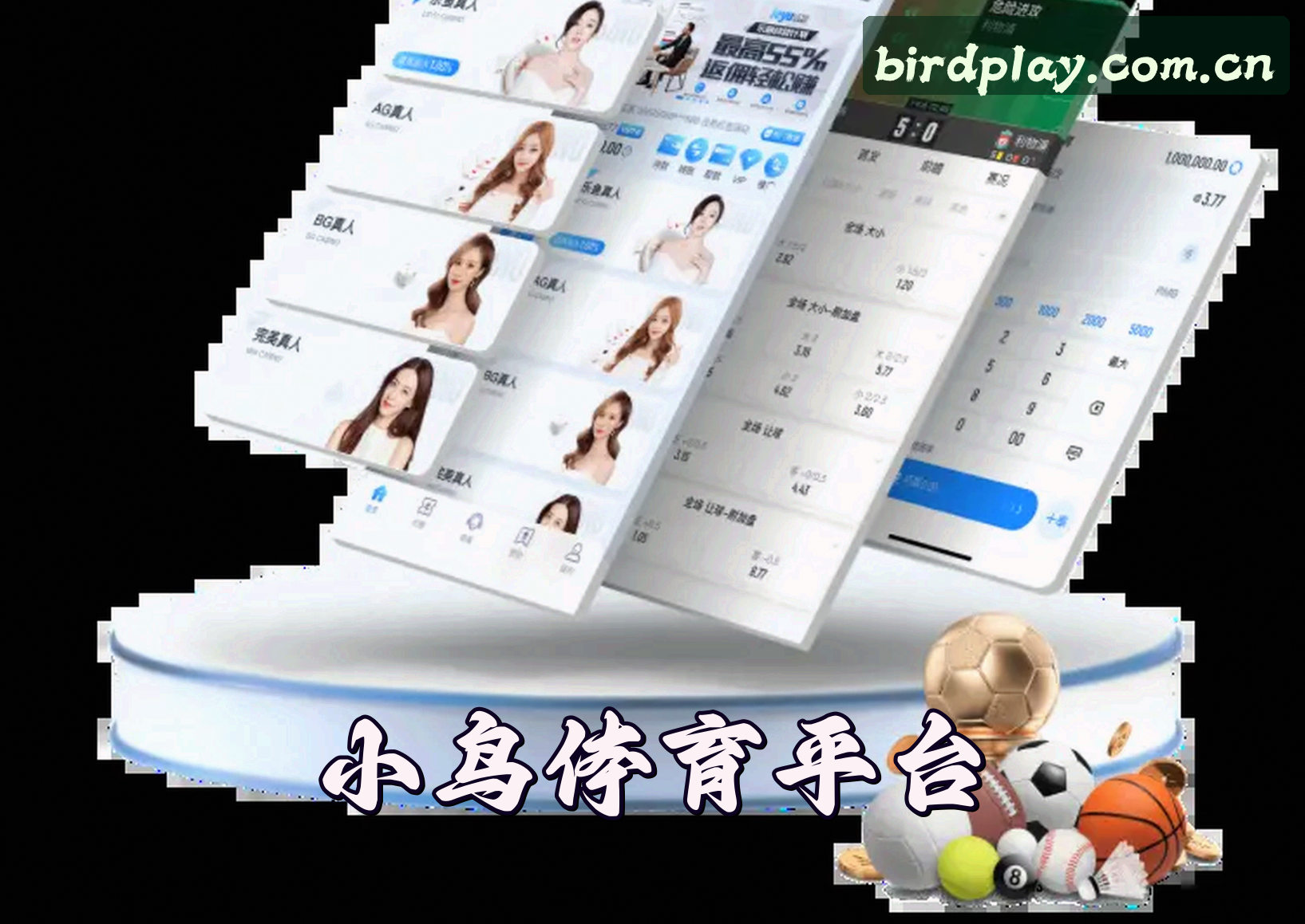 关于我们